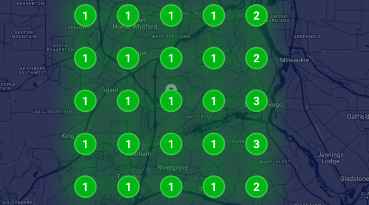 google business proifle rank grid showing number 1 rankings